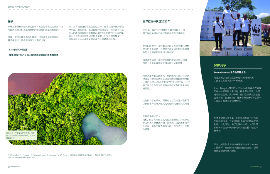 全球红树林联盟：2022全球红树林状况报告（英文版）（49页）.pdf_第9页