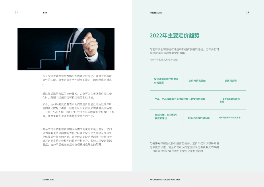 Copperberg：2022年卓越定价报告（英文版）（18页）.pdf_第13页