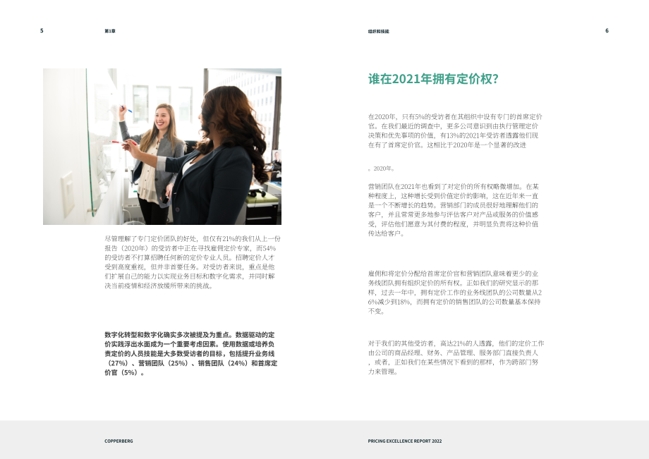 Copperberg：2022年卓越定价报告（英文版）（18页）.pdf_第4页
