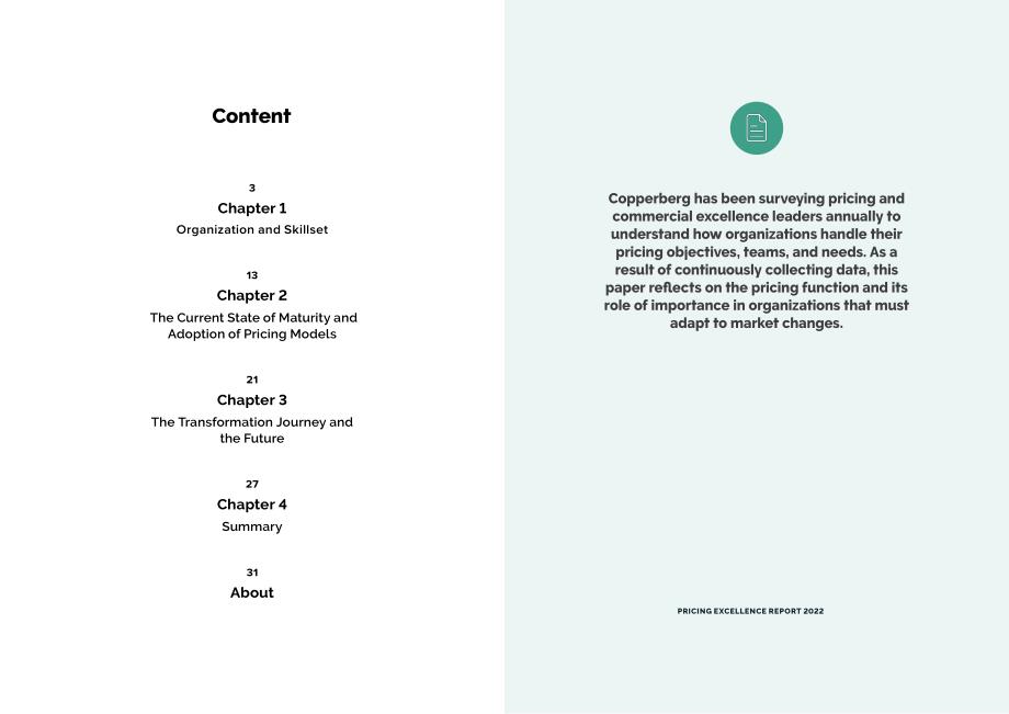 Copperberg：2022年卓越定价报告（英文版）（18页）.pdf_第2页