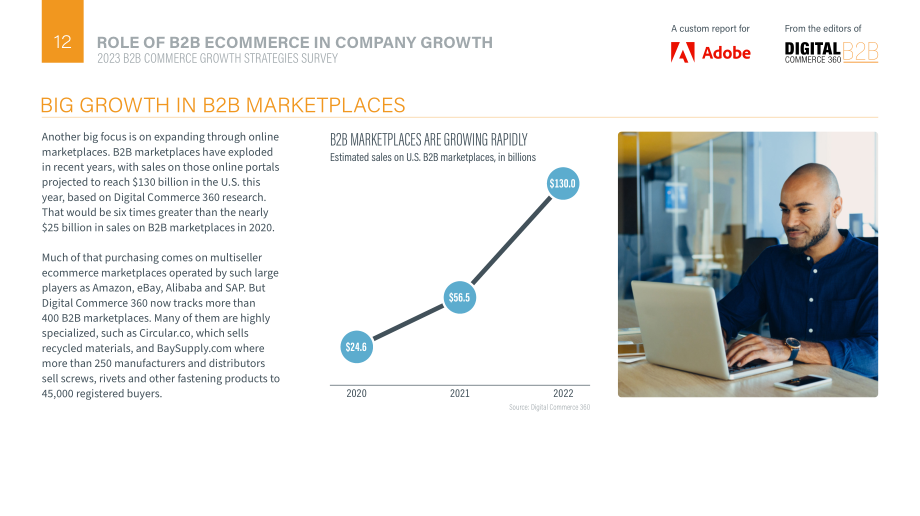 Adobe：2023年B2B商务增长战略调查与报告（英文版）（33页）.pdf_第12页