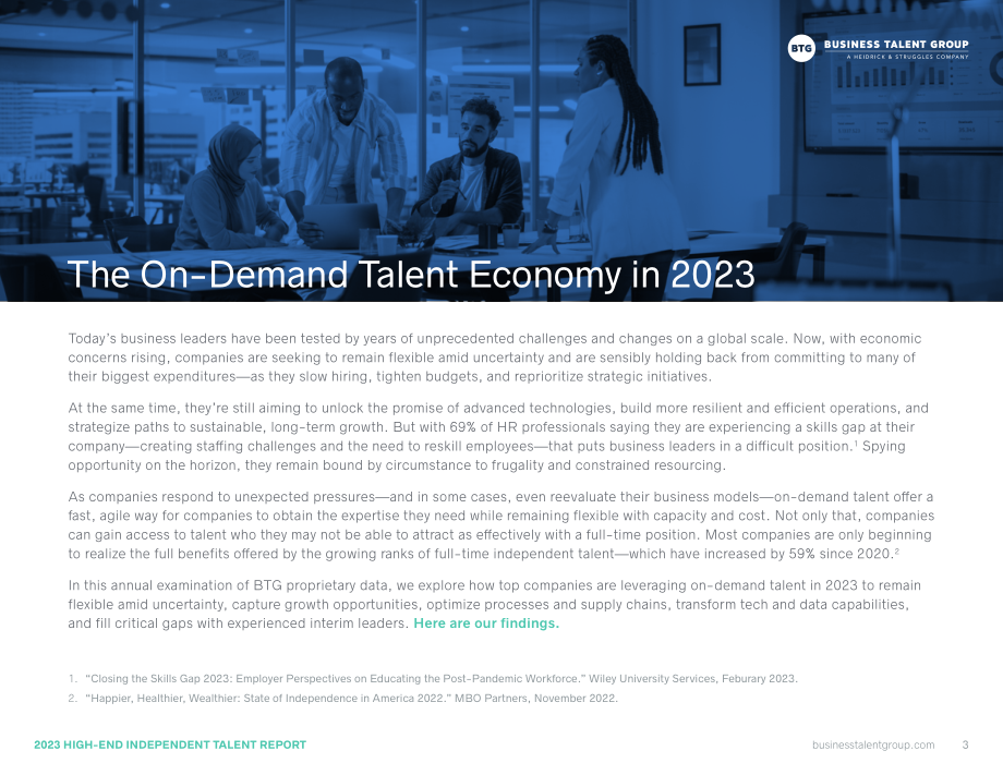 Business Talent Group：2023年高端独立人才报告（英文版）（42页）.pdf_第3页
