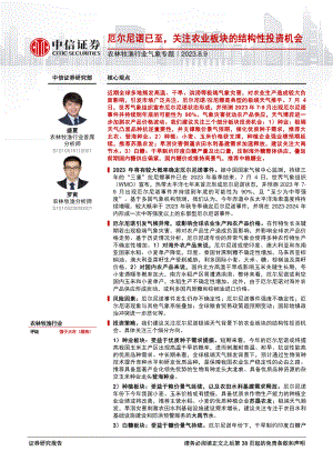 农林牧渔行业气象专题：厄尔尼诺已至关注农业板块的结构性投资机会-230809（39页）.pdf