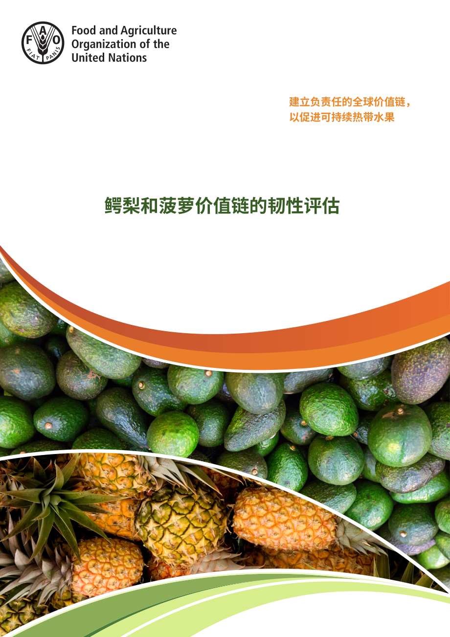 联合国粮农组织：2023年牛油果与菠萝价值链弹性评估报告（英文版）（84页）.pdf_第1页