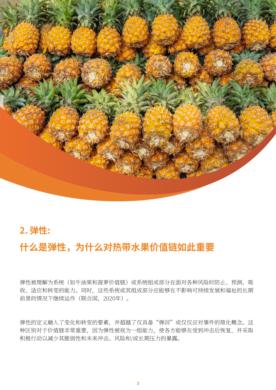 联合国粮农组织：2023年牛油果与菠萝价值链弹性评估报告（英文版）（84页）.pdf_第15页