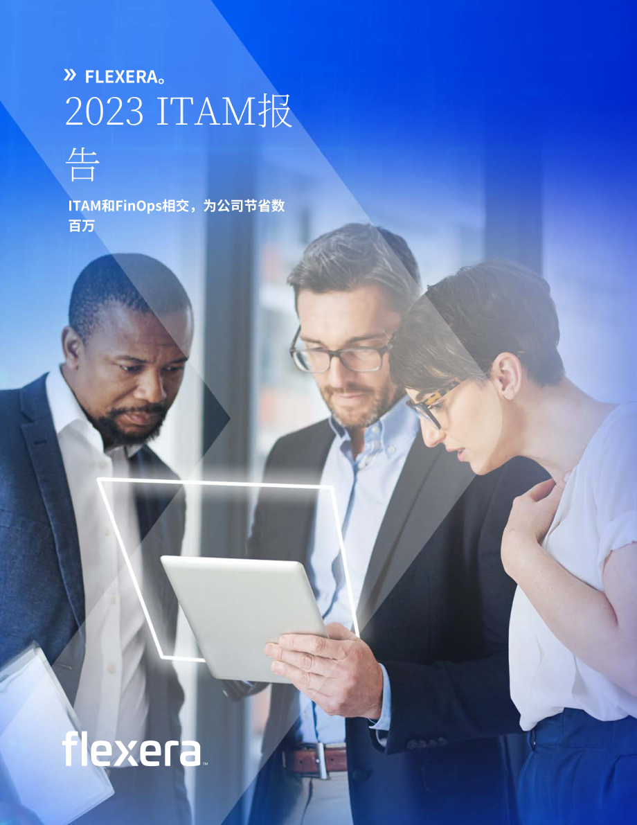 Flexera：2023年信息技术资产管理（ITAM）软件市场现状报告（英文版）（58页）.pdf_第1页