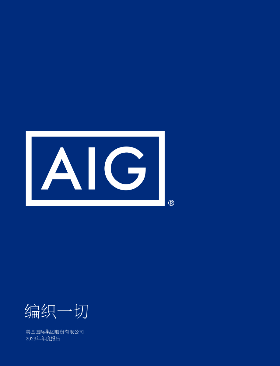 美国国际集团（AMERICAN INTERNATIONAL GROUP）2023年年度报告（英文版）（308页）.pdf_第1页