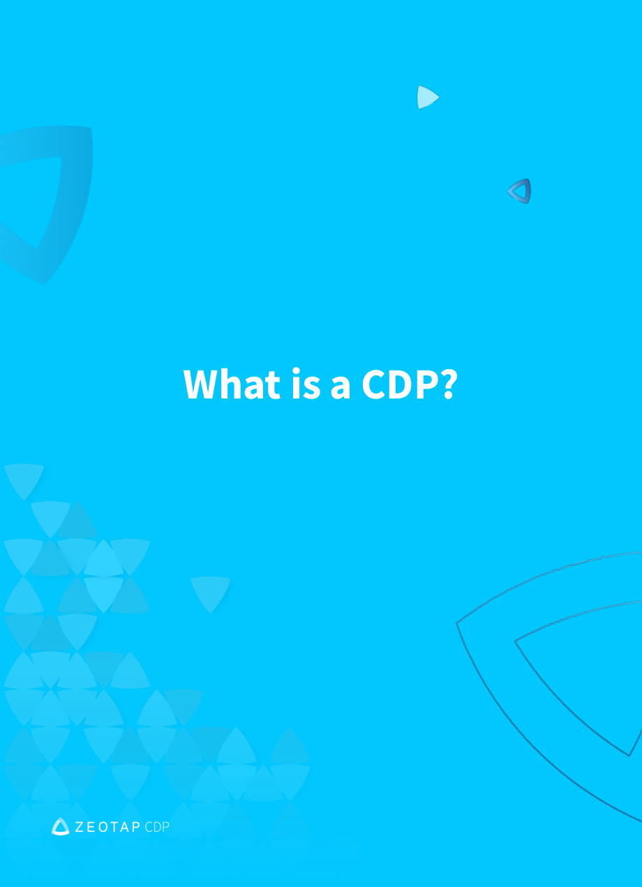 Zeotap：2024从数据管理平台（DMP）到客户数据平台（CDP）的转型：动因、涉及主体及迁移路径研究报告（英文版）（33页）.pdf_第6页