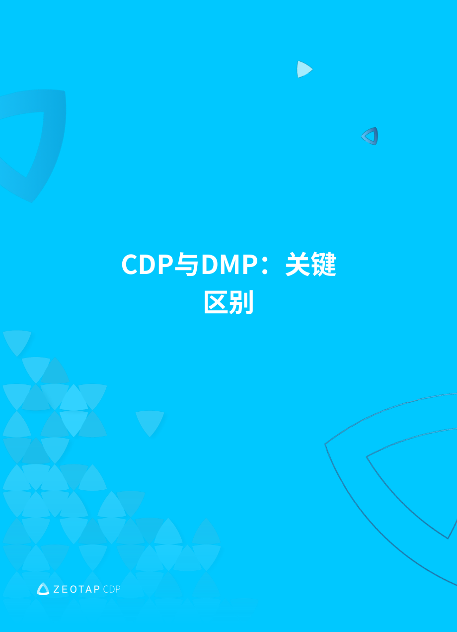 Zeotap：2024从数据管理平台（DMP）到客户数据平台（CDP）的转型：动因、涉及主体及迁移路径研究报告（英文版）（33页）.pdf_第13页