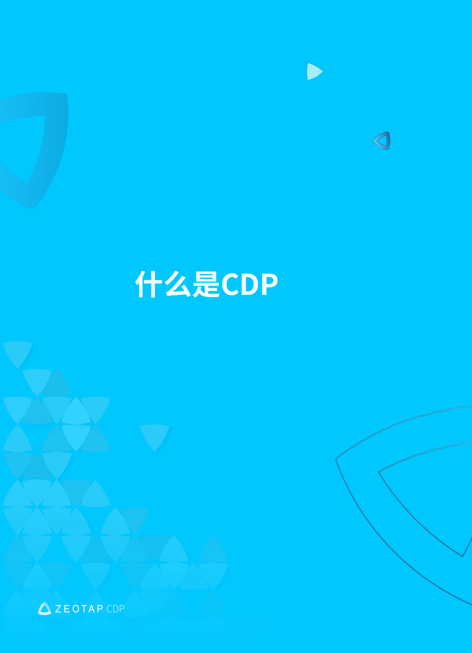 Zeotap：2024从数据管理平台（DMP）到客户数据平台（CDP）的转型：动因、涉及主体及迁移路径研究报告（英文版）（33页）.pdf_第6页