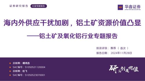 铝土矿及氧化铝行业专题报告：海内外供应干扰加剧铝土矿资源价值凸显-241128（40页）.pdf
