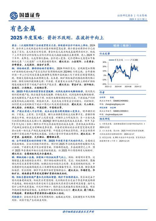 有色金属行业2025年度策略：箭折不改刚在波折中向上-241230（91页）.pdf