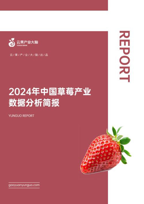 云果：2024年中国草莓产业数据分析简报（18页）.pdf