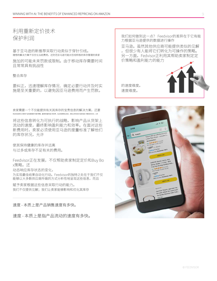 Feedvisor：2024年AI驱动的重新定价策略指南（英文版）（11页）.pdf_第9页