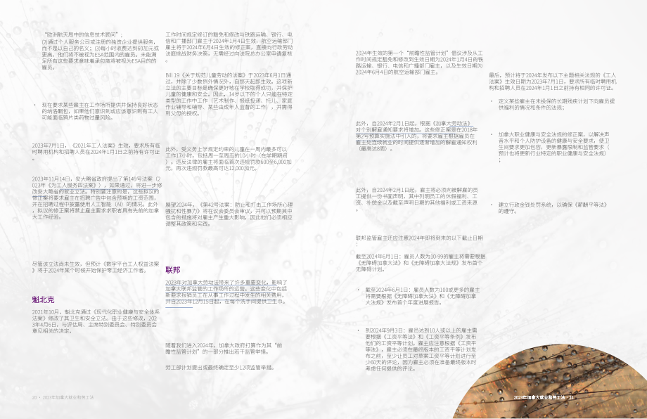 大成：加拿大就业和劳工年度2023年回顾及未来趋势报告（英文版）（15页）.pdf_第11页