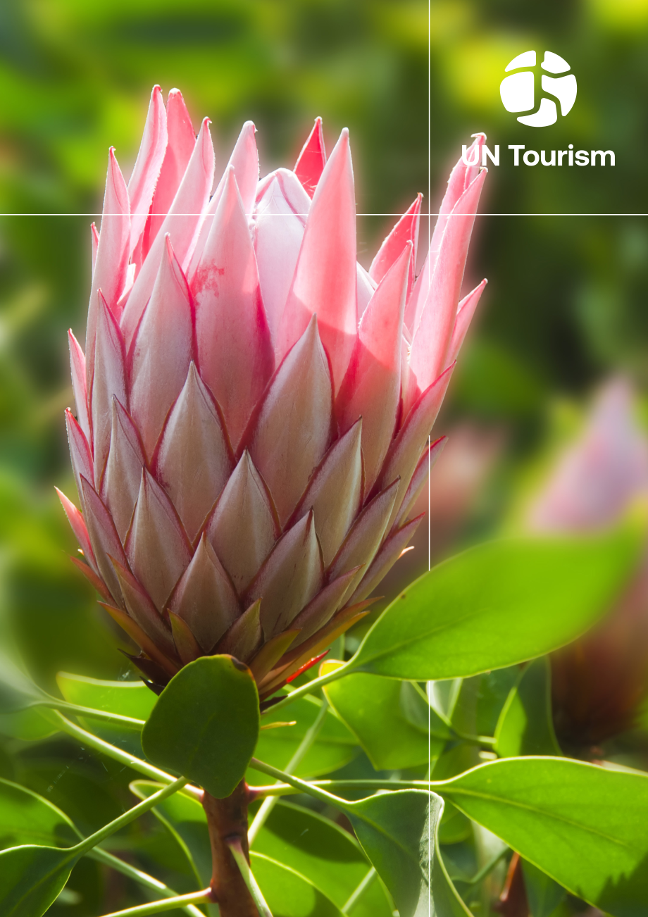 UN Tourism：2024生物多样性与国家旅游政策的整合研究报告（英文版）（48页）.pdf_第1页