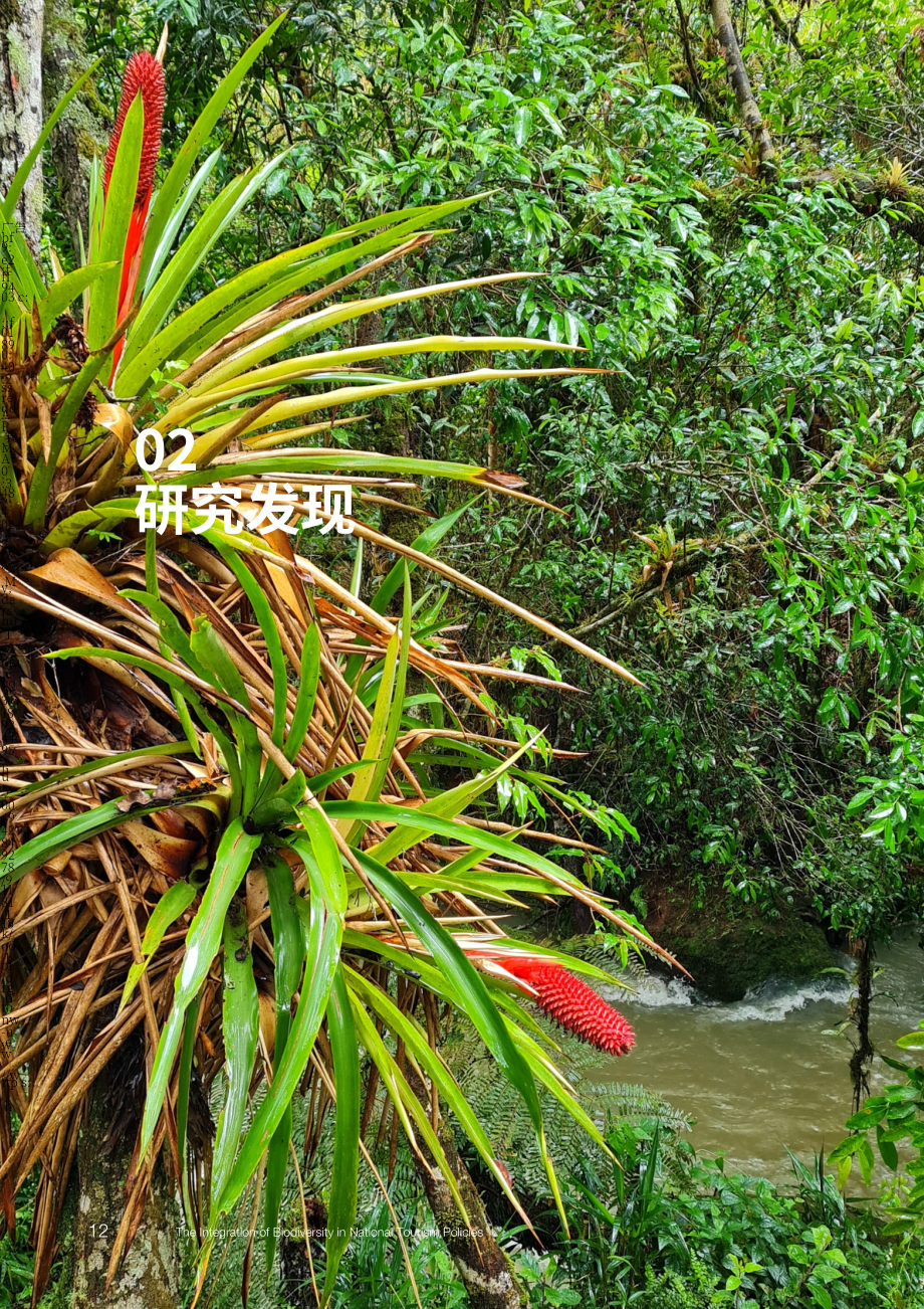 UN Tourism：2024生物多样性与国家旅游政策的整合研究报告（英文版）（48页）.pdf_第14页