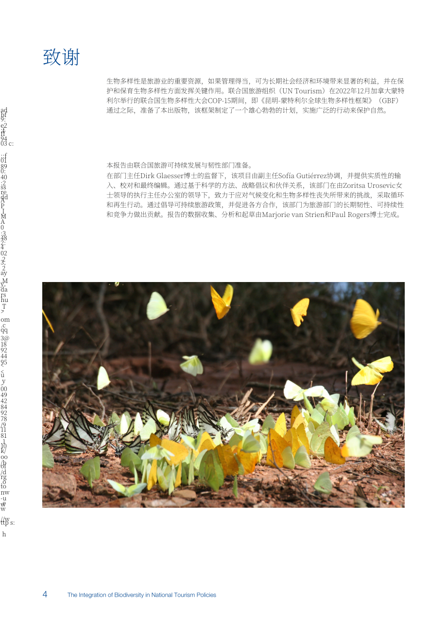 UN Tourism：2024生物多样性与国家旅游政策的整合研究报告（英文版）（48页）.pdf_第6页