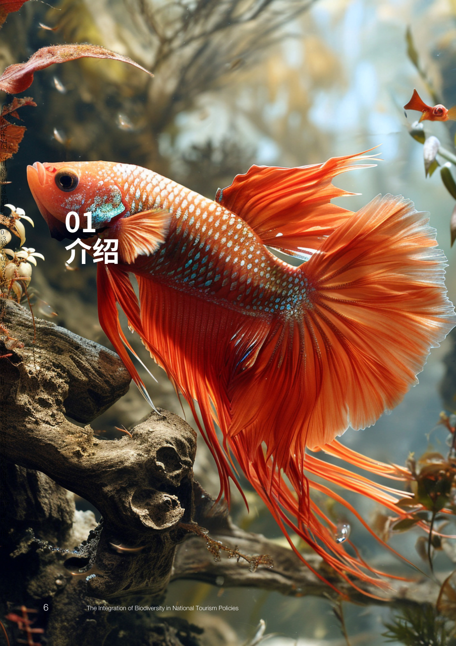 UN Tourism：2024生物多样性与国家旅游政策的整合研究报告（英文版）（48页）.pdf_第8页