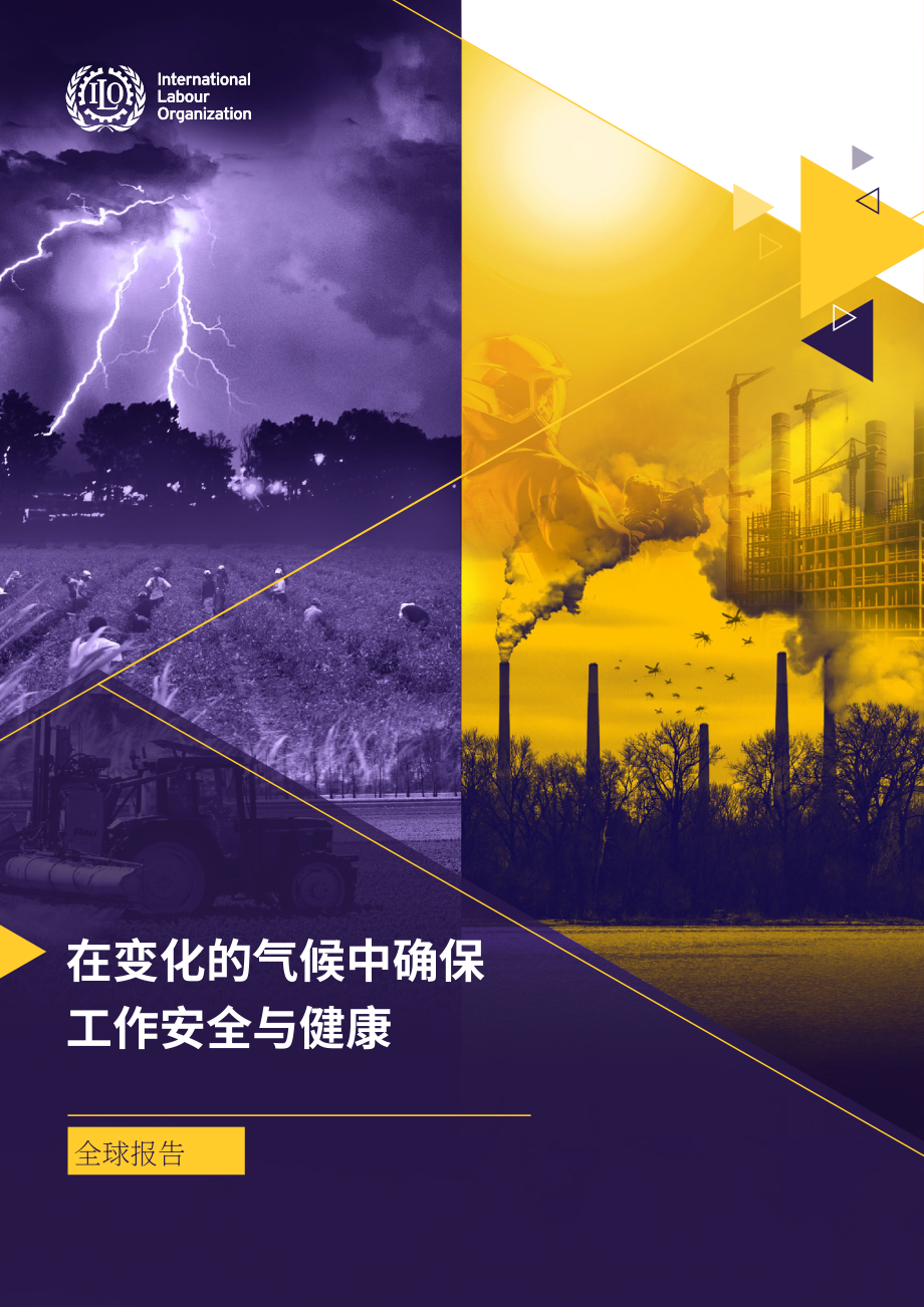 国际劳工组织：2024确保变化气候中的职业安全与健康报告（英文版）（132页）.pdf_第1页