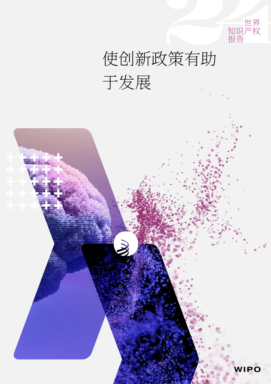 世界知识产权组织（WIPO）：2024年世界知识产权报告（英文版）（142页）.pdf_第1页