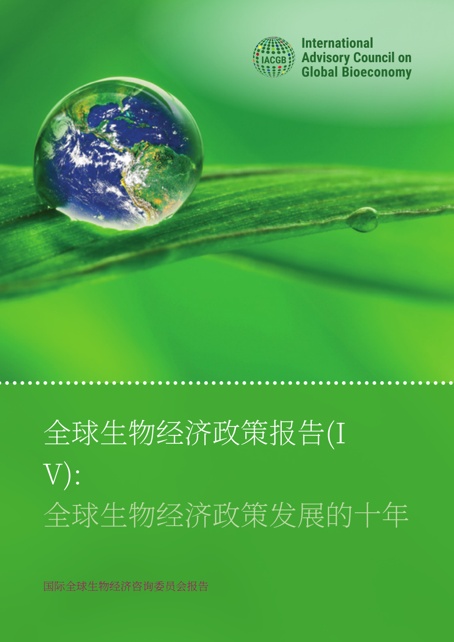 全球生物经济国际咨询委员会：2020全球生物经济政策报告（四）：全球生物经济政策发展的十年（英文版）（168页）.pdf_第1页
