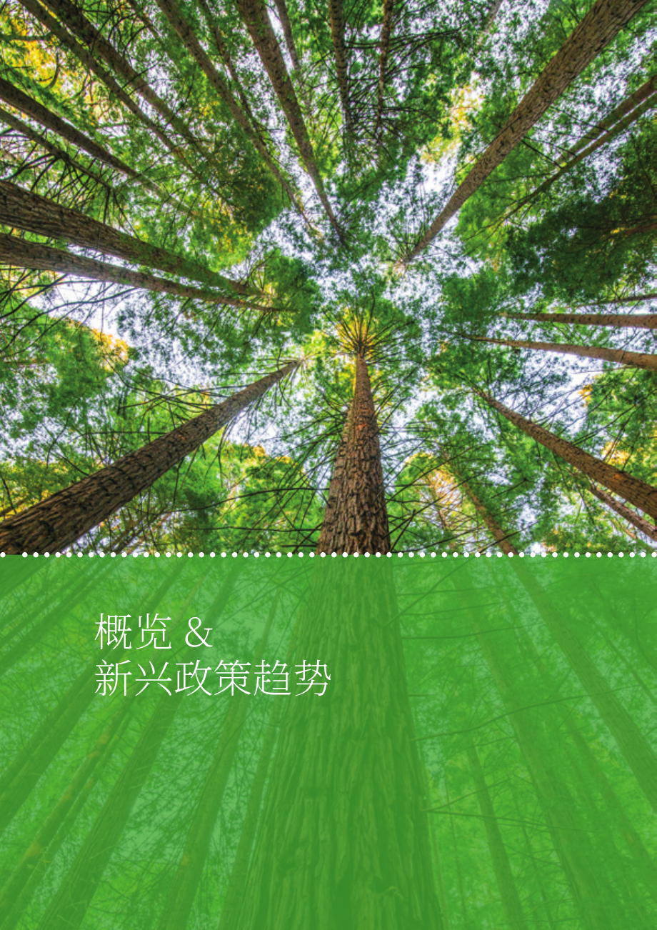 全球生物经济国际咨询委员会：2020全球生物经济政策报告（四）：全球生物经济政策发展的十年（英文版）（168页）.pdf_第12页