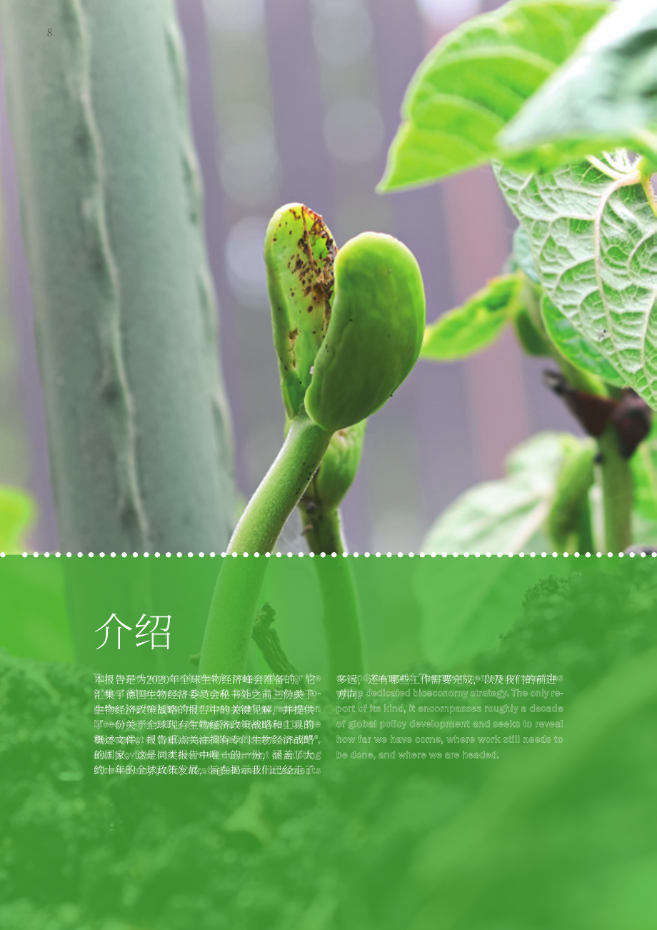 全球生物经济国际咨询委员会：2020全球生物经济政策报告（四）：全球生物经济政策发展的十年（英文版）（168页）.pdf_第8页