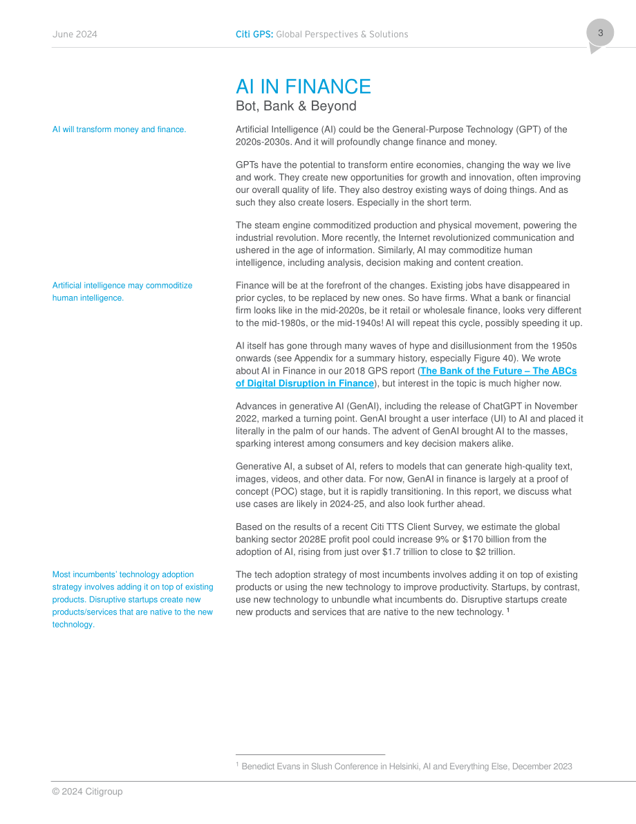 花旗银行（Citi GPS）：2024金融领域的人工智能研究报告（英文版）（124页）.pdf_第3页