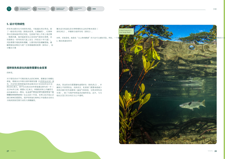 全球红树林联盟（GMA）：2023红树林恢复最佳实践指南（英文版）（141页）.pdf_第15页