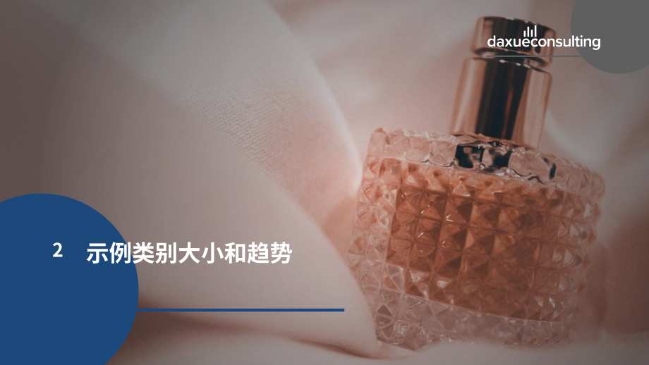 Daxue Consulting：2024年中国小样经济报告（英文版）（40页）.pdf_第10页