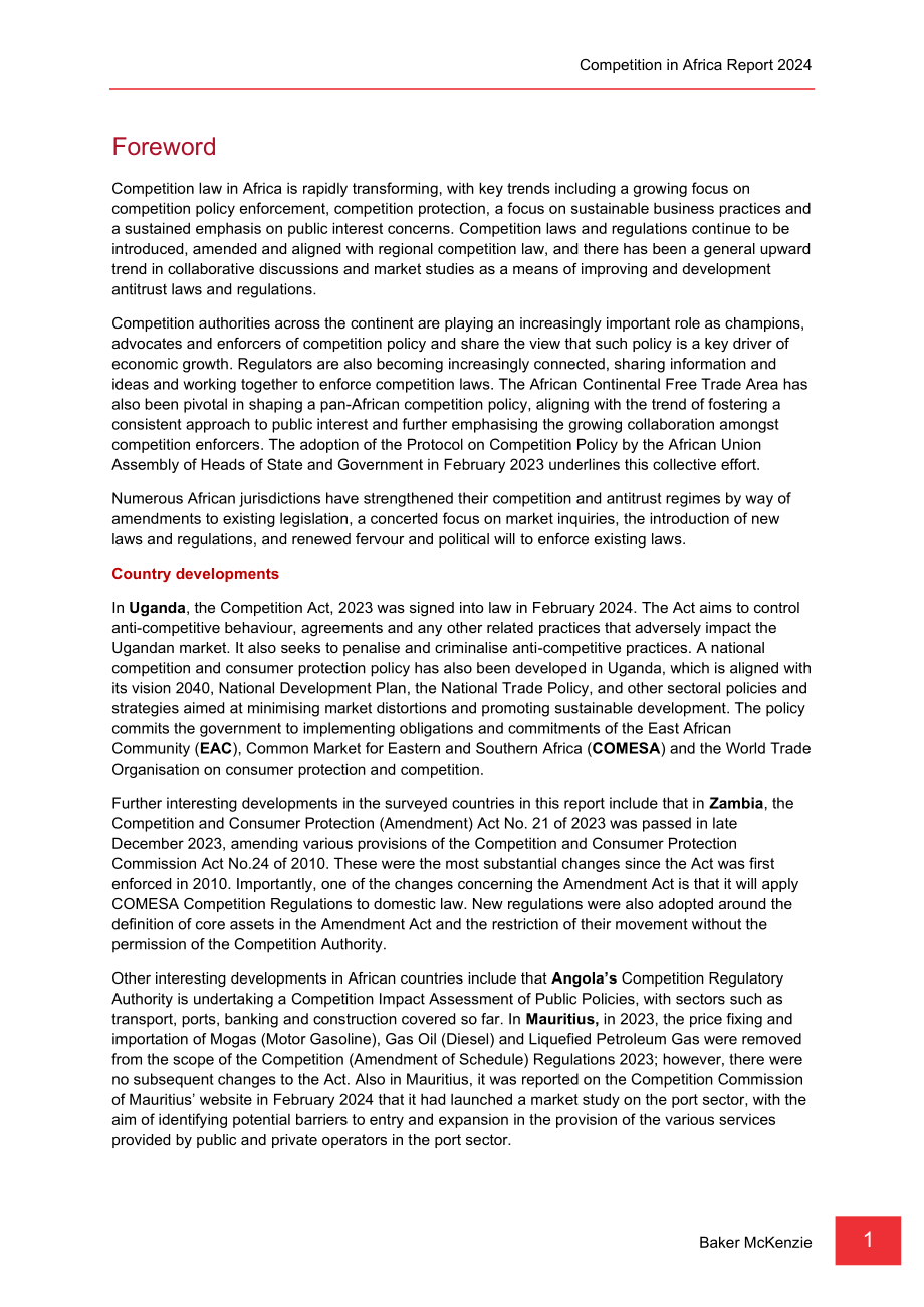 贝克·麦坚时：2024年非洲竞争与反垄断报告（英文版）（393页）.pdf_第6页