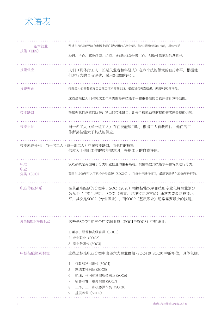 英国国家教育研究基金会NFER：2024重新思考技能差距和解决方案报告（英文版）（44页）.pdf_第6页