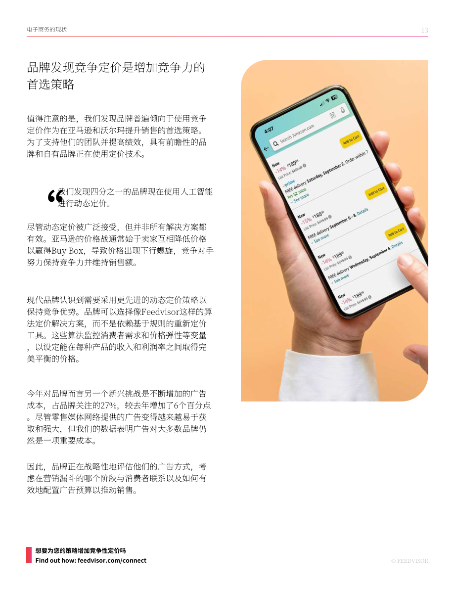 Feedvisor：品牌视角：2024年电商市场趋势和洞察报告（英文版）（49页）.pdf_第13页