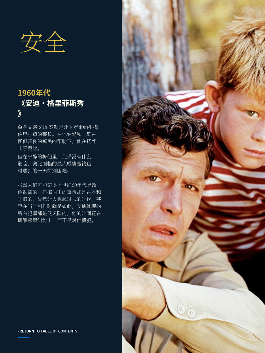 Starcom：2023美国中产阶级现状分析报告：“神话（myth）”的构成要素（第二章）（英文版）（23页）.pdf_第8页
