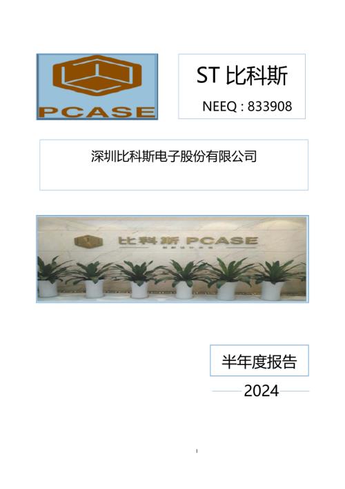 定期报告-ST比科斯：2024年半年度报告.PDF