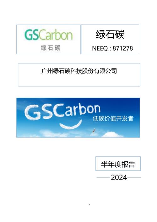 定期报告-绿石碳：2024年半年度报告.PDF