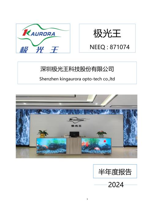 定期报告-极光王：2024年半年度报告.PDF