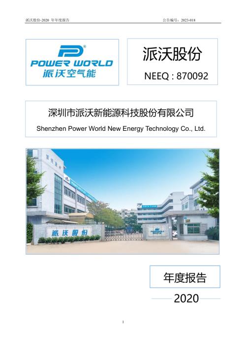 定期报告-派沃股份：2020年年度报告.PDF
