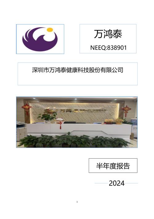定期报告-万鸿泰：2024年半年度报告.PDF