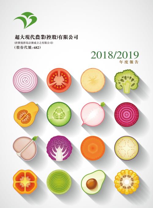 超大現代：年報20182019.pdf