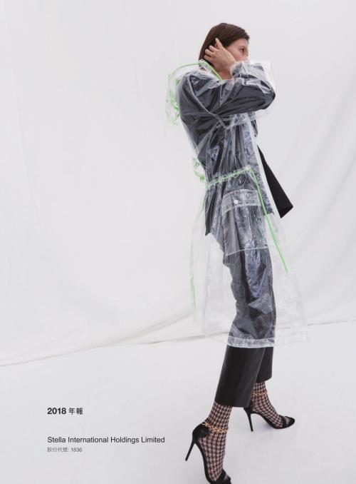 九興控股：二零一八年年報.pdf