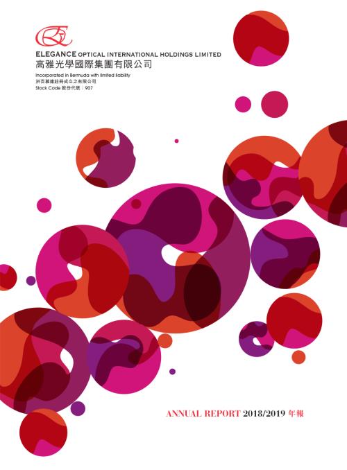 高雅光學：20182019年報.pdf