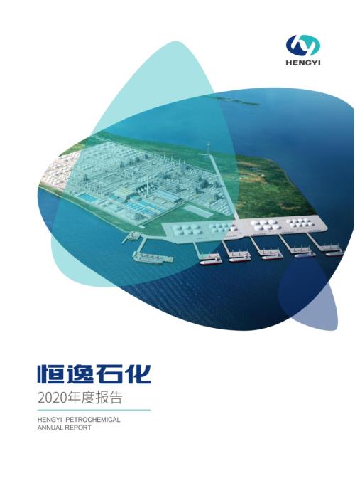 恒逸石化：2020年年度报告.PDF