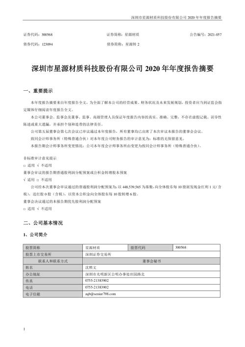 星源材质：2020年年度报告摘要.PDF