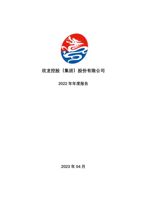 欣龙控股：2022年年度报告.PDF