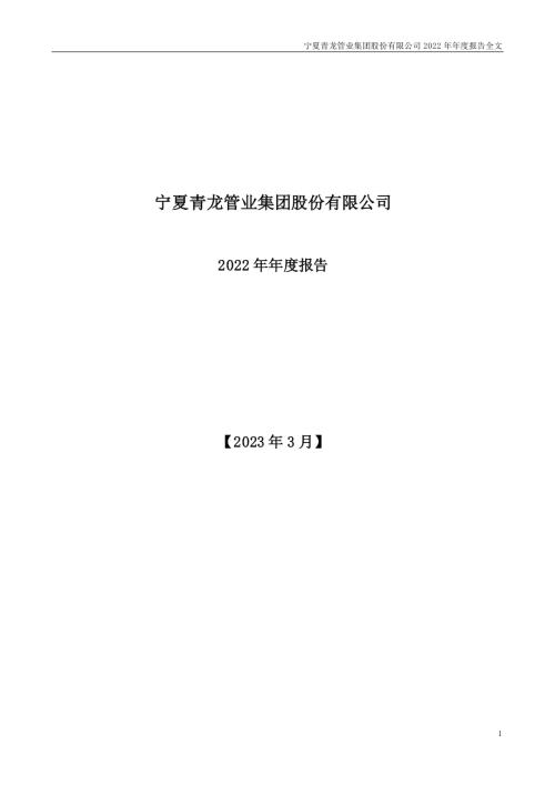 青龙管业：2022年年度报告.PDF
