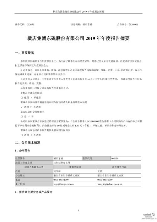 横店东磁：2019年年度报告摘要.PDF