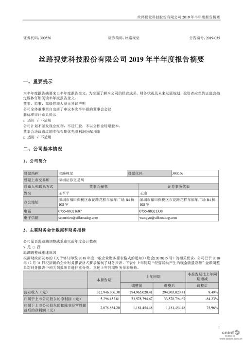 丝路视觉：2019年半年度报告摘要.PDF