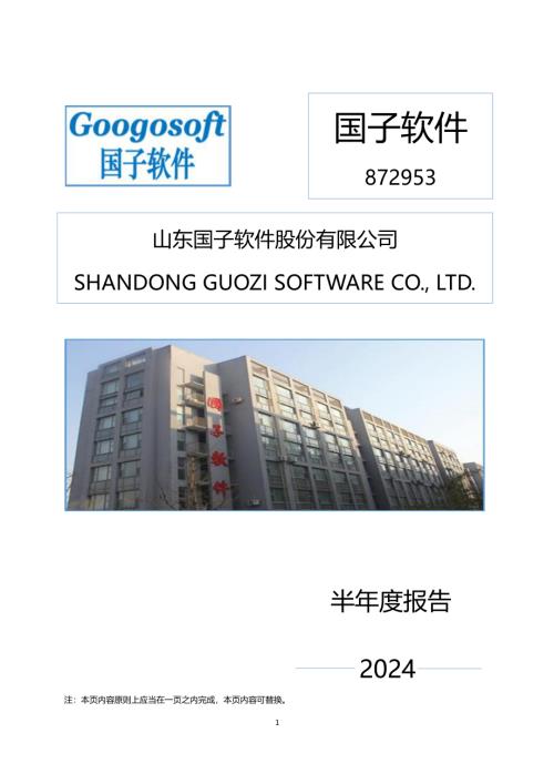 定期报告-国子软件：2024年半年度报告.pdf